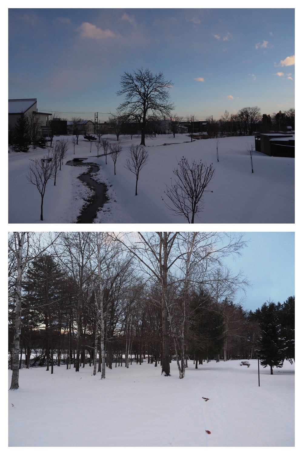 2251212_Evening-walk_7