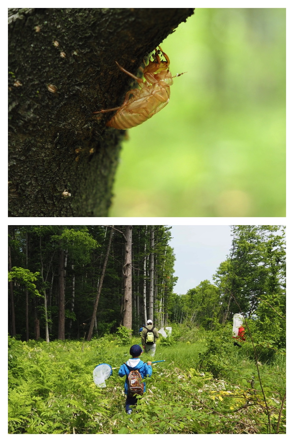 250601_Chou_3