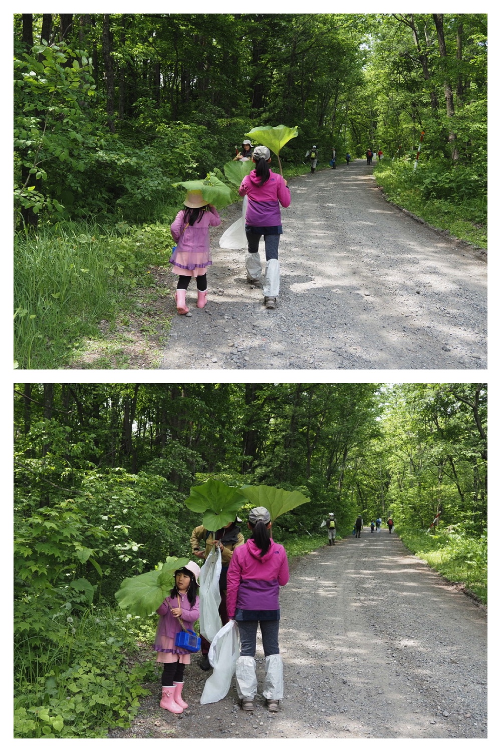 250601_Chou_6