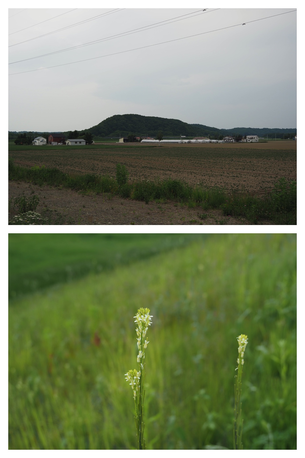 250607_Kunimiyama_2