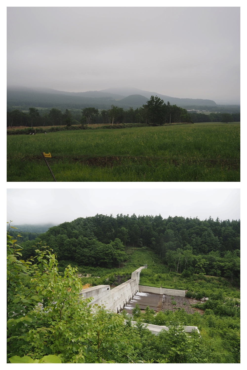 250621_Shizenshi_13