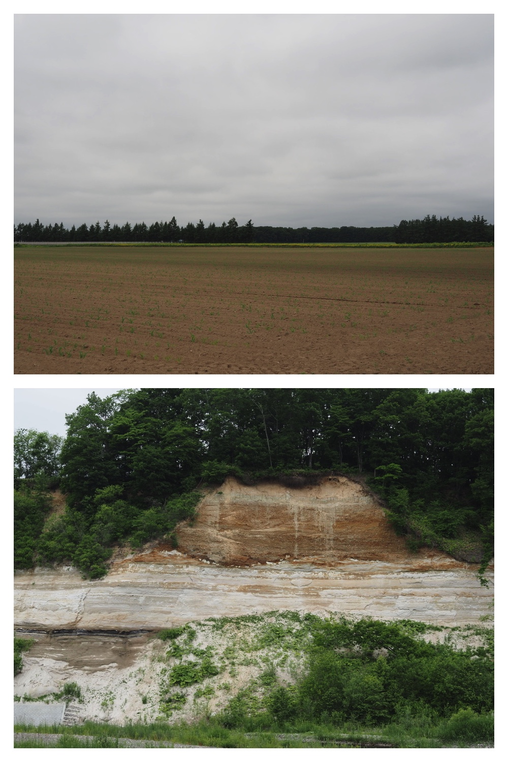 250621_Shizenshi_2