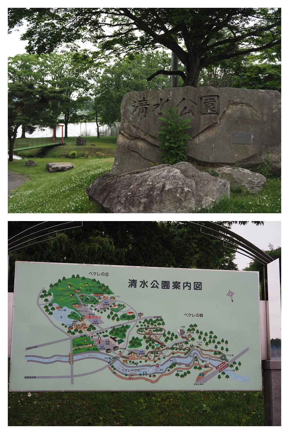 250621_Shizenshi_21