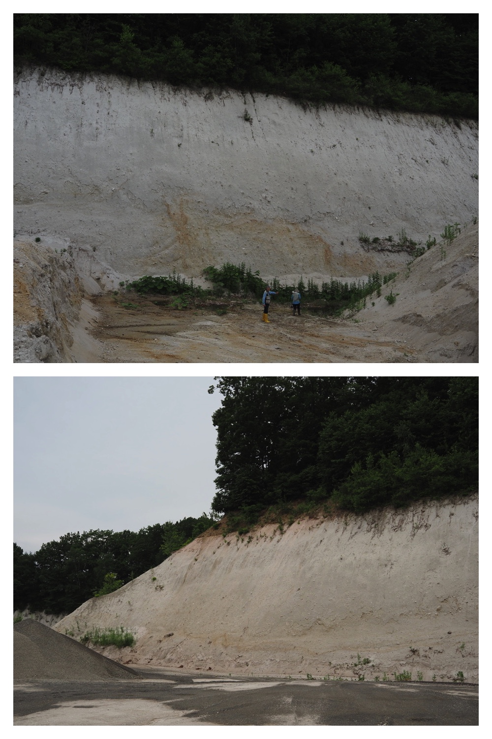 250621_Shizenshi_22