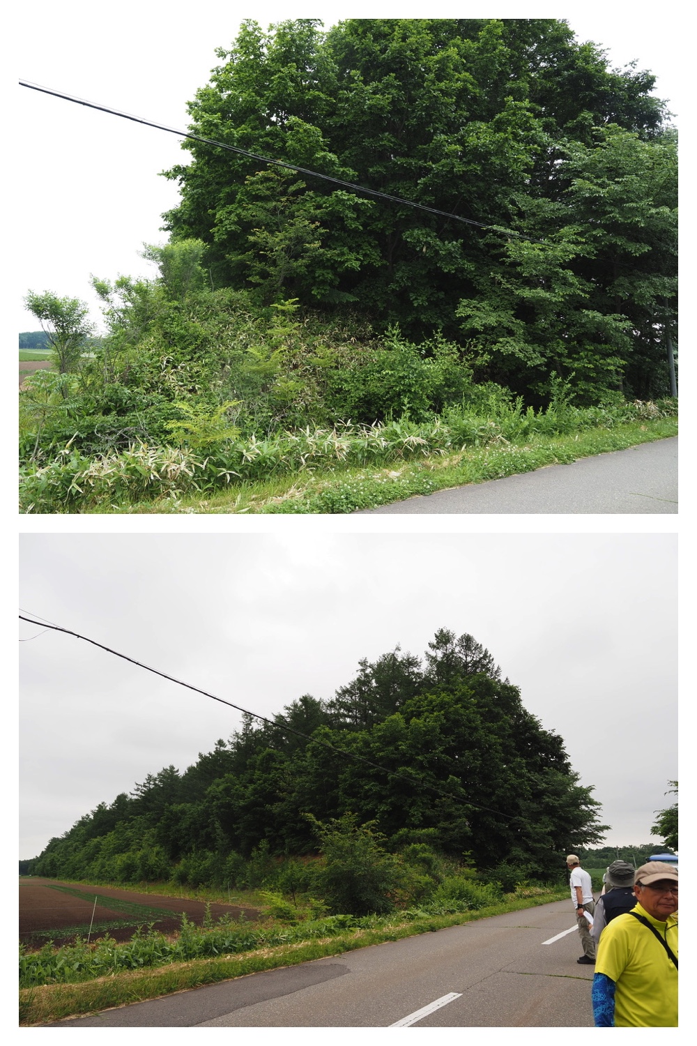 250621_Shizenshi_5