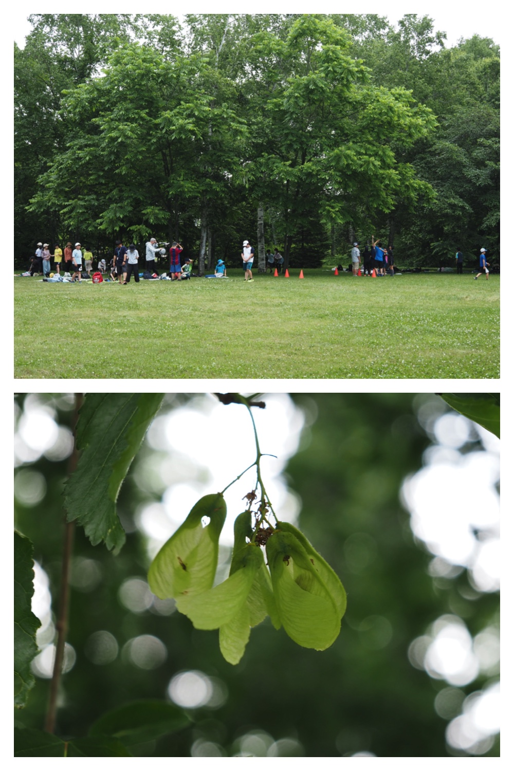 250627_Kikanko_2