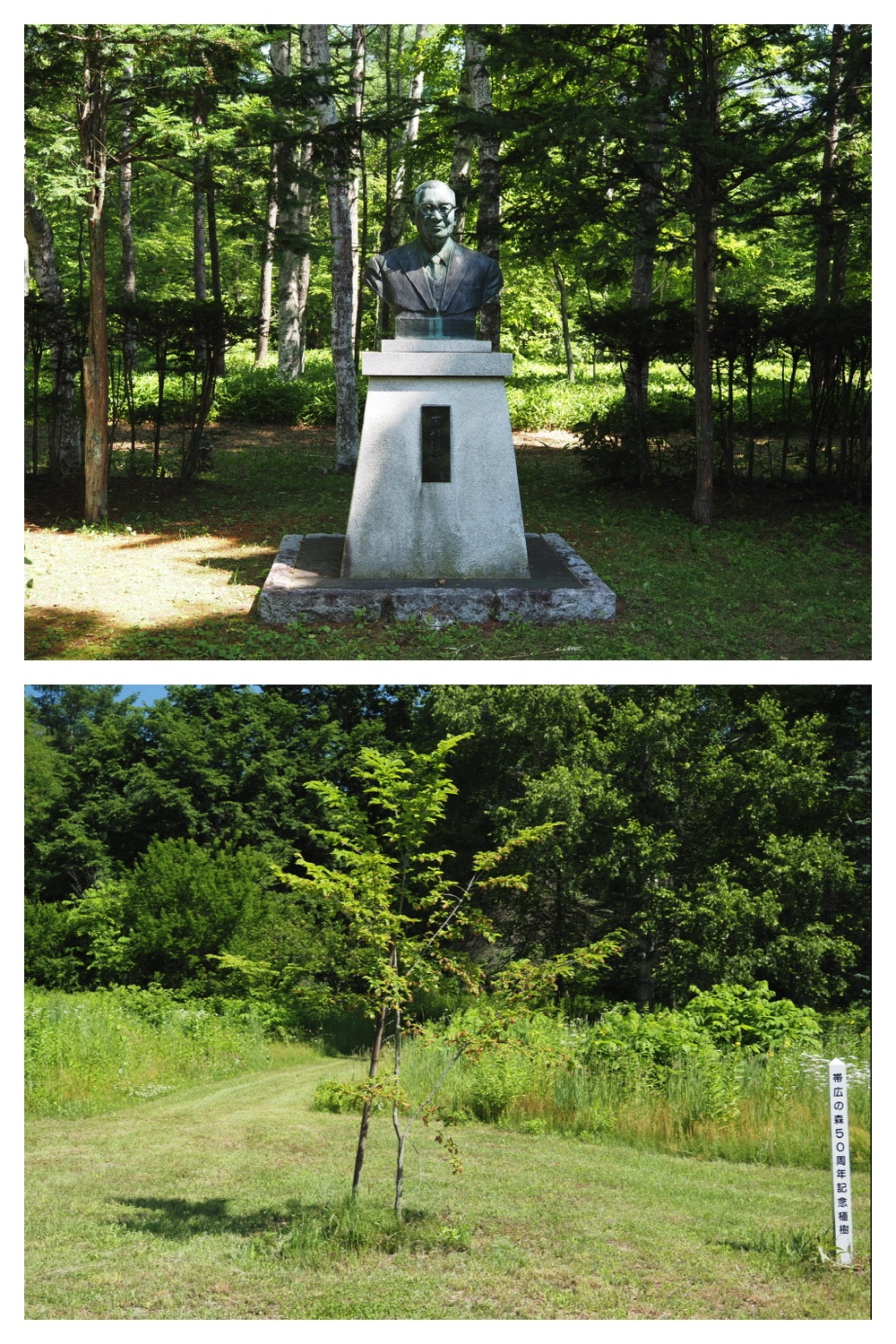 250628_Obimori_1