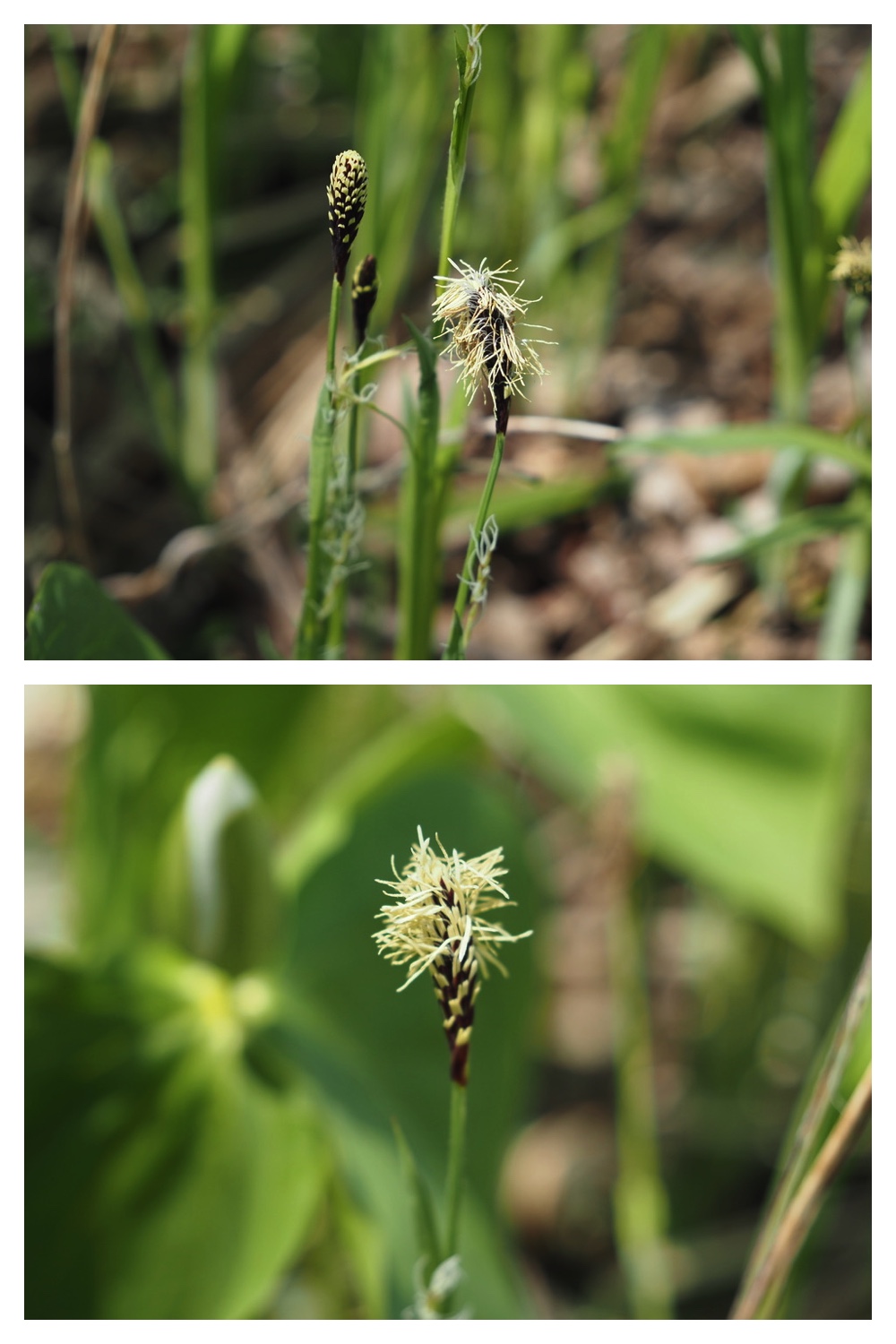 250506_Chou_12