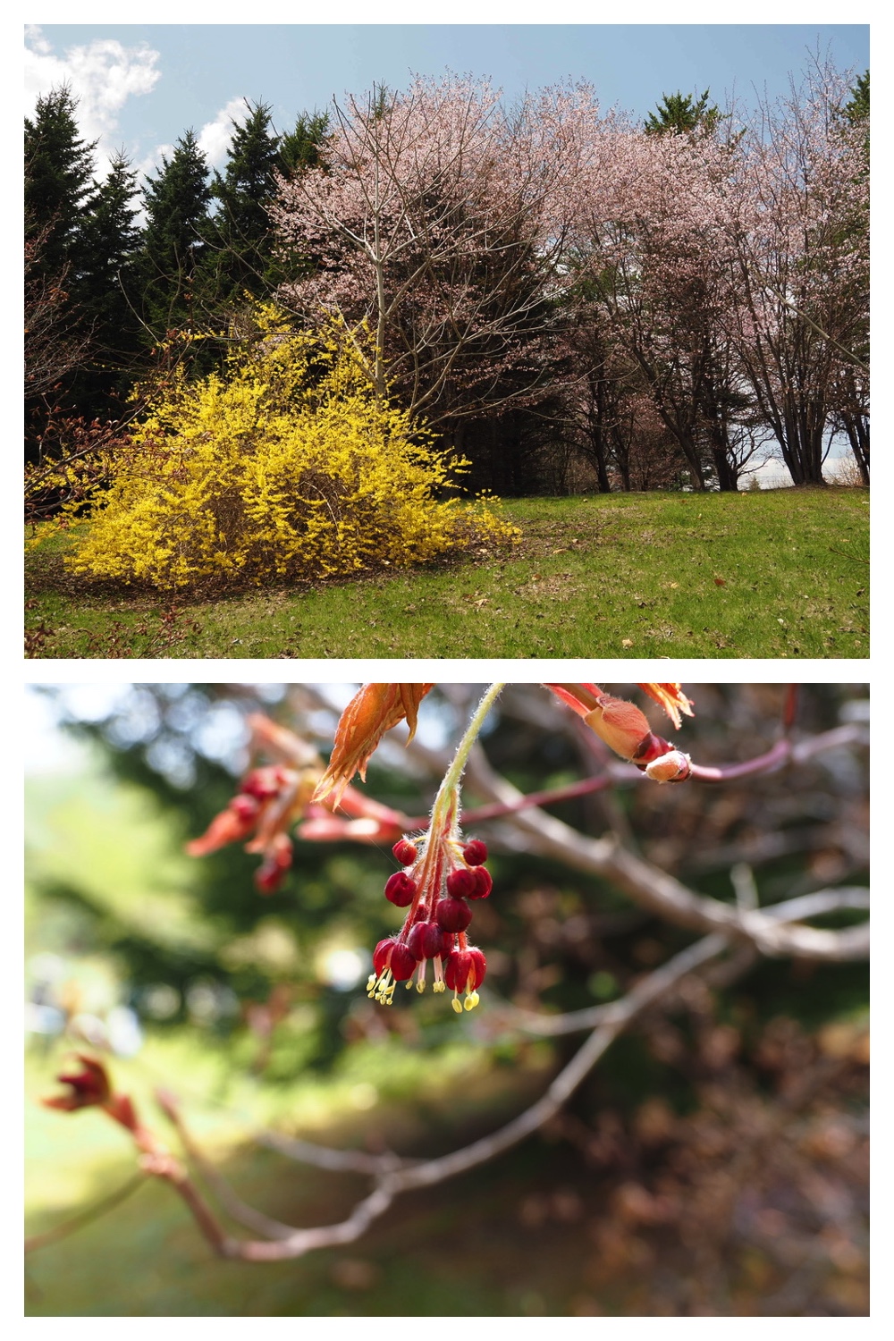 250506_Chou_20