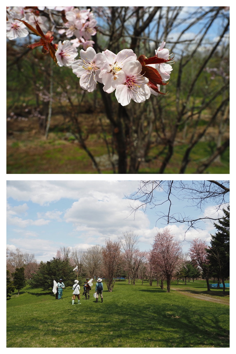 250506_Chou_22