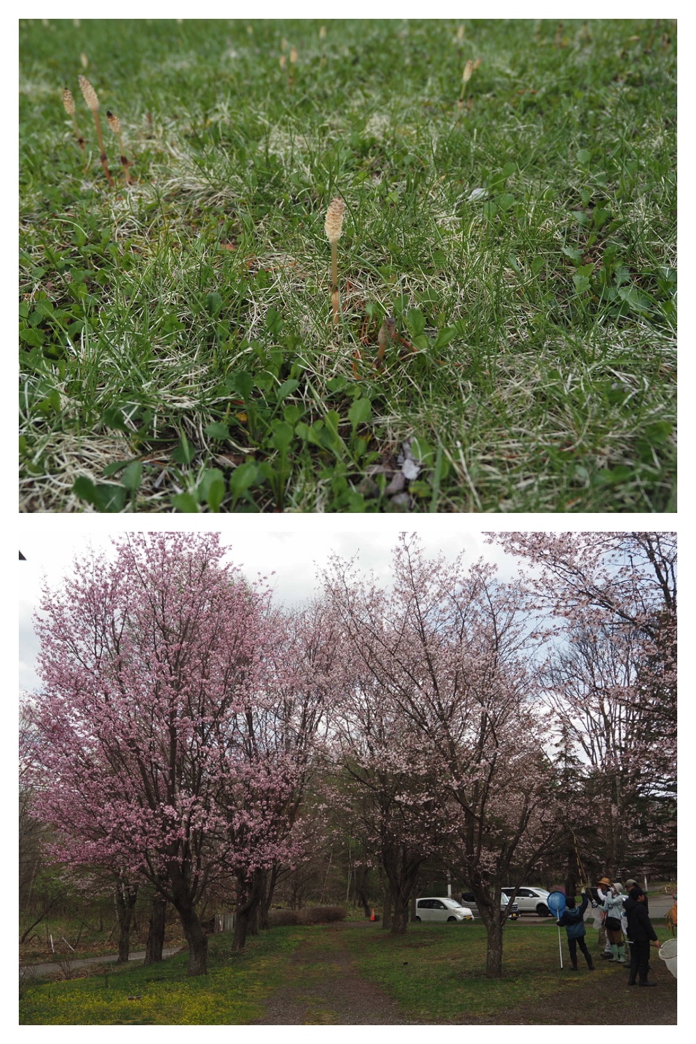 250506_Chou_23