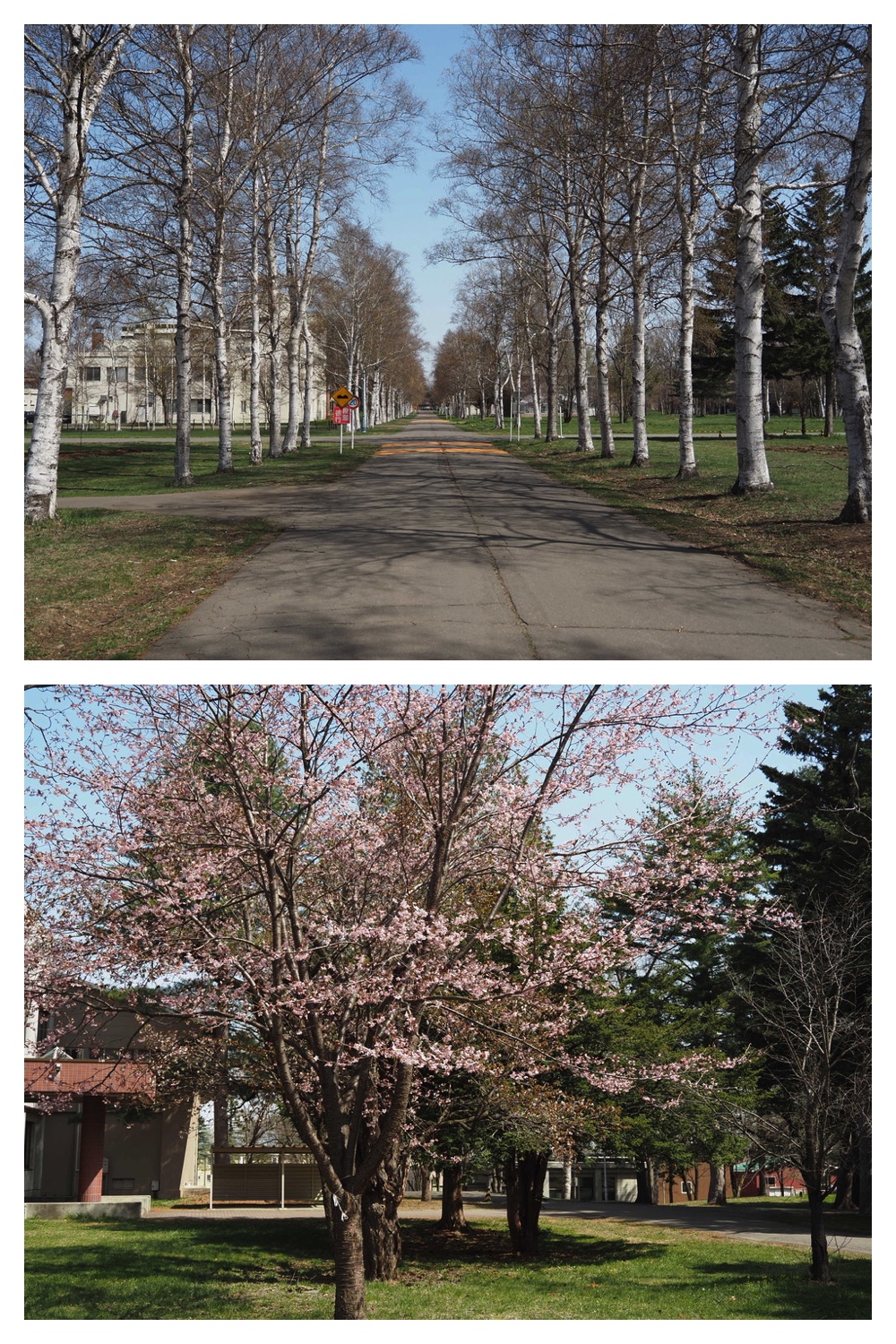 250506_Chou_3