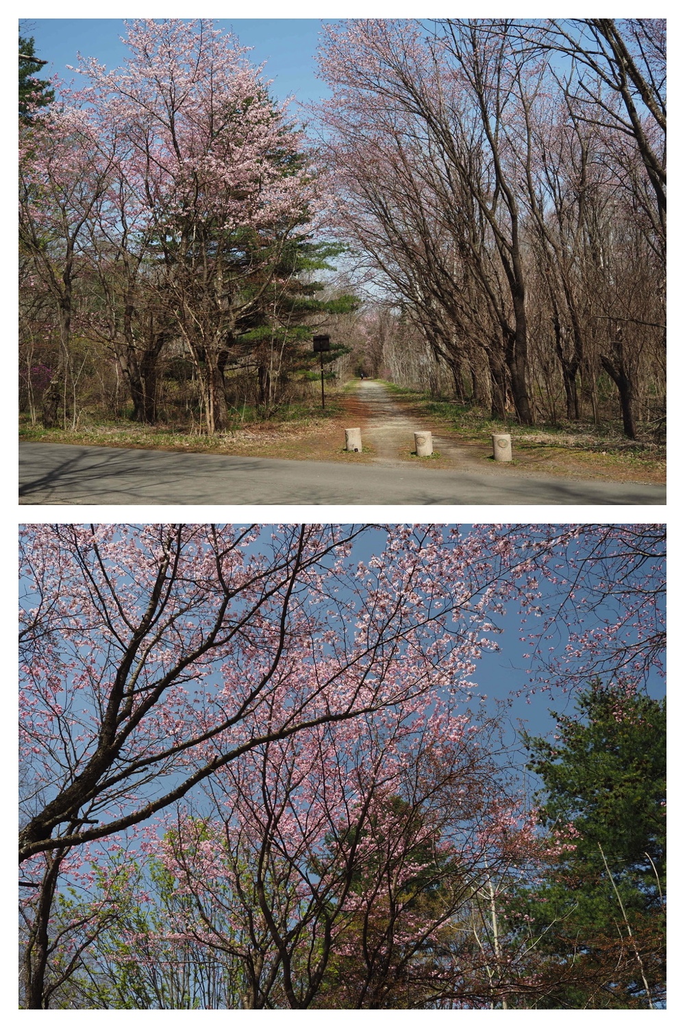 250506_Chou_5