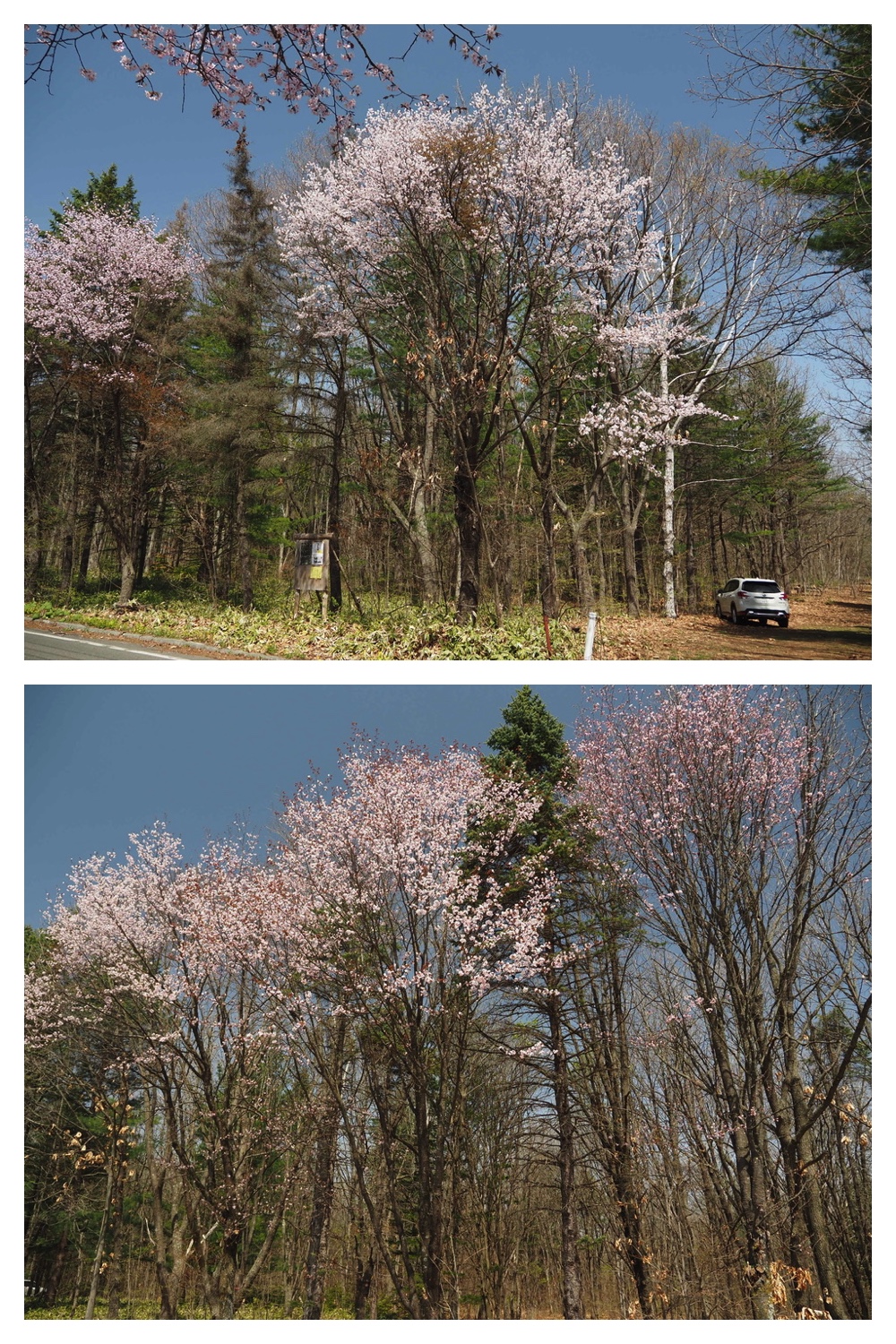 250506_Chou_7