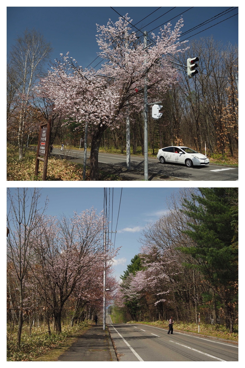 250506_Chou_8