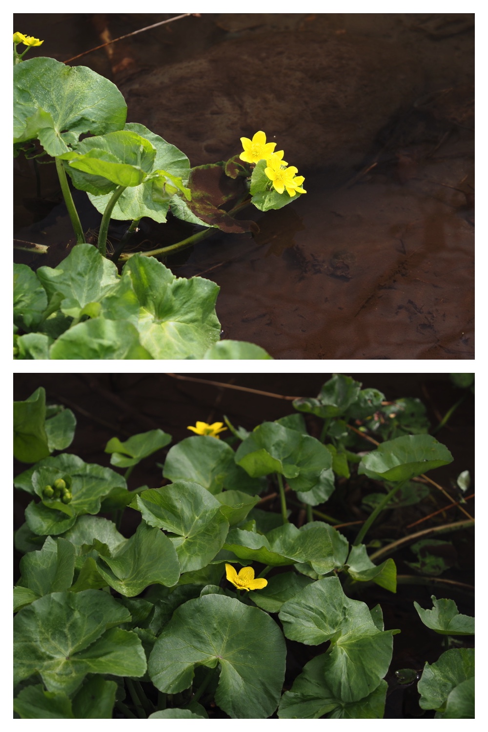 250508_Noukou_18
