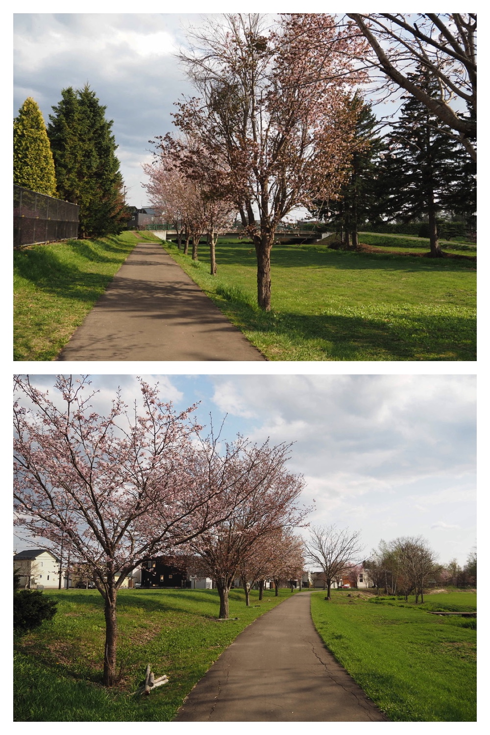 250508_Noukou_19