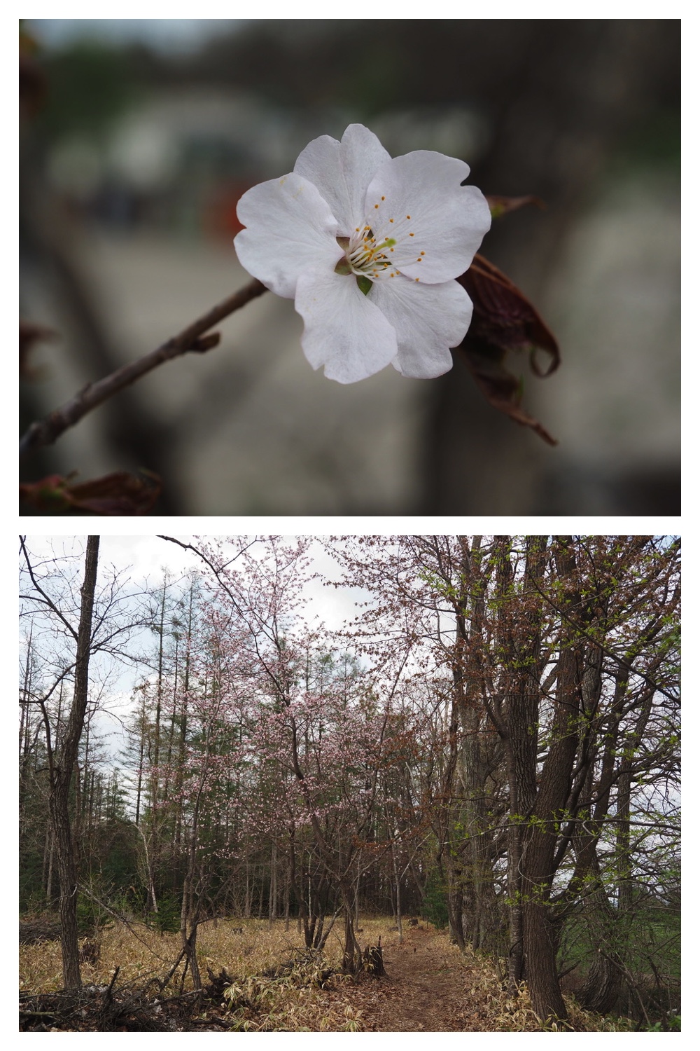 250508_Noukou_4