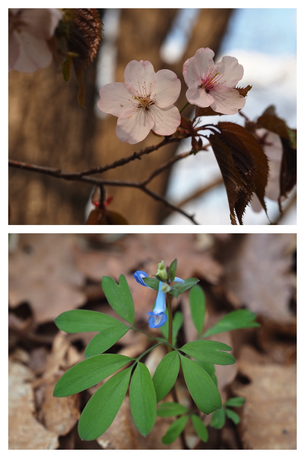 250508_Noukou_6