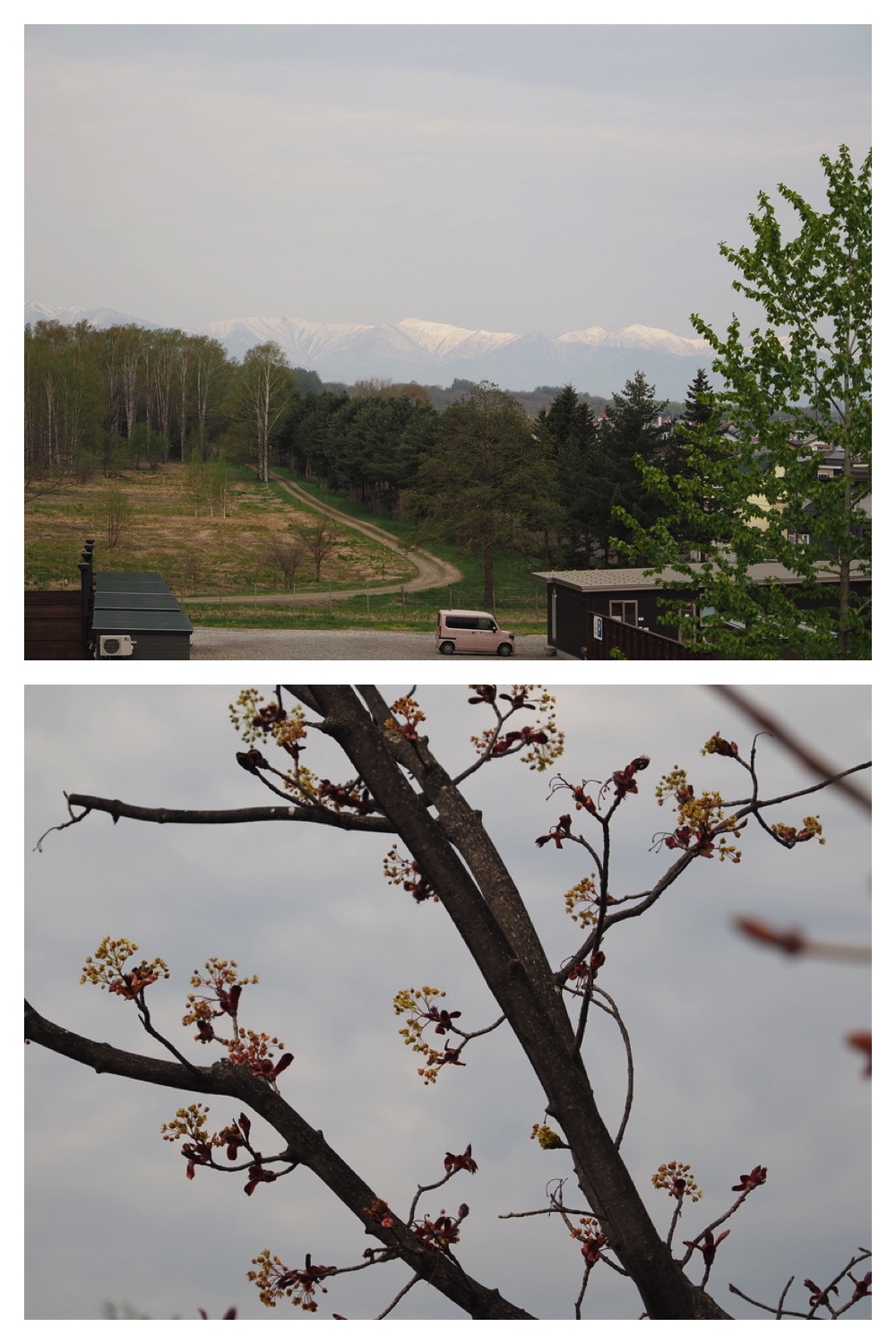 250509_Kunimiyama_1