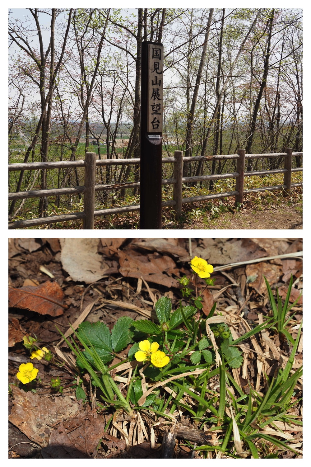 250509_Kunimiyama_14
