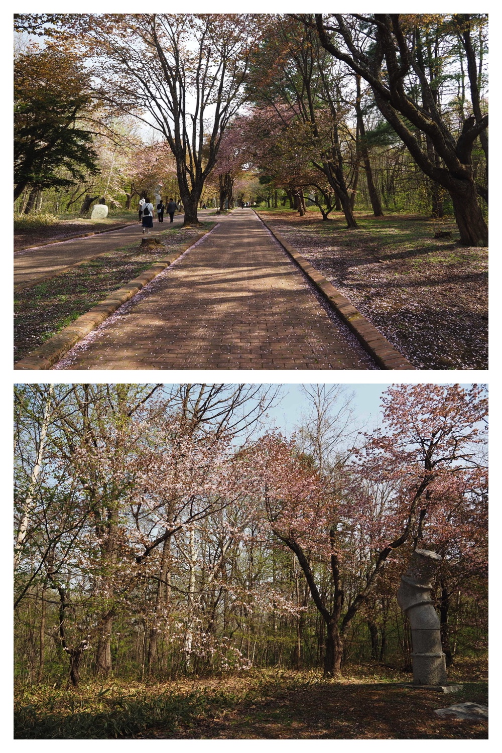 250509_Midorigaoka_10