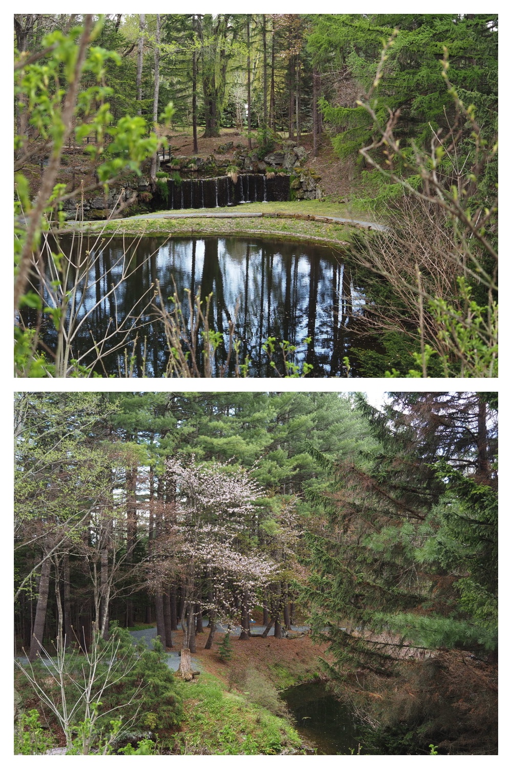 250511_Manabeteien_17