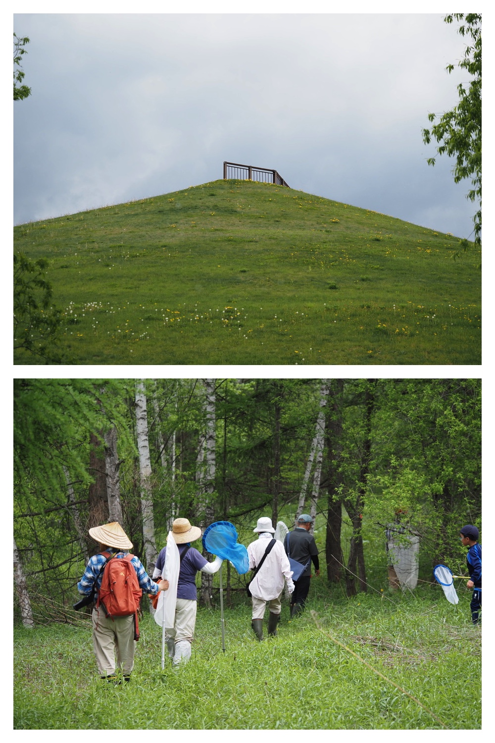 250518_Ezorisunokai_31