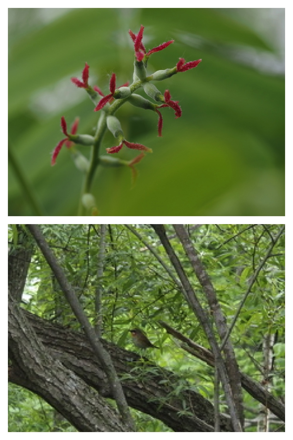 250531_Plant-survey_23