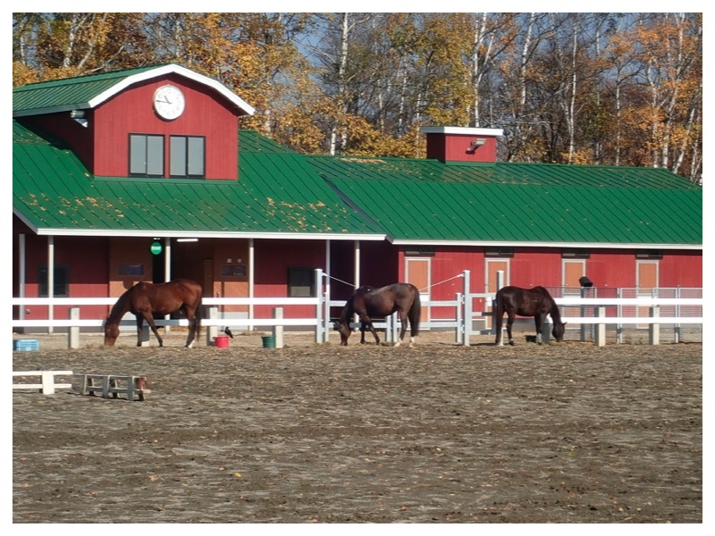 2025_1104_Oka-family_4