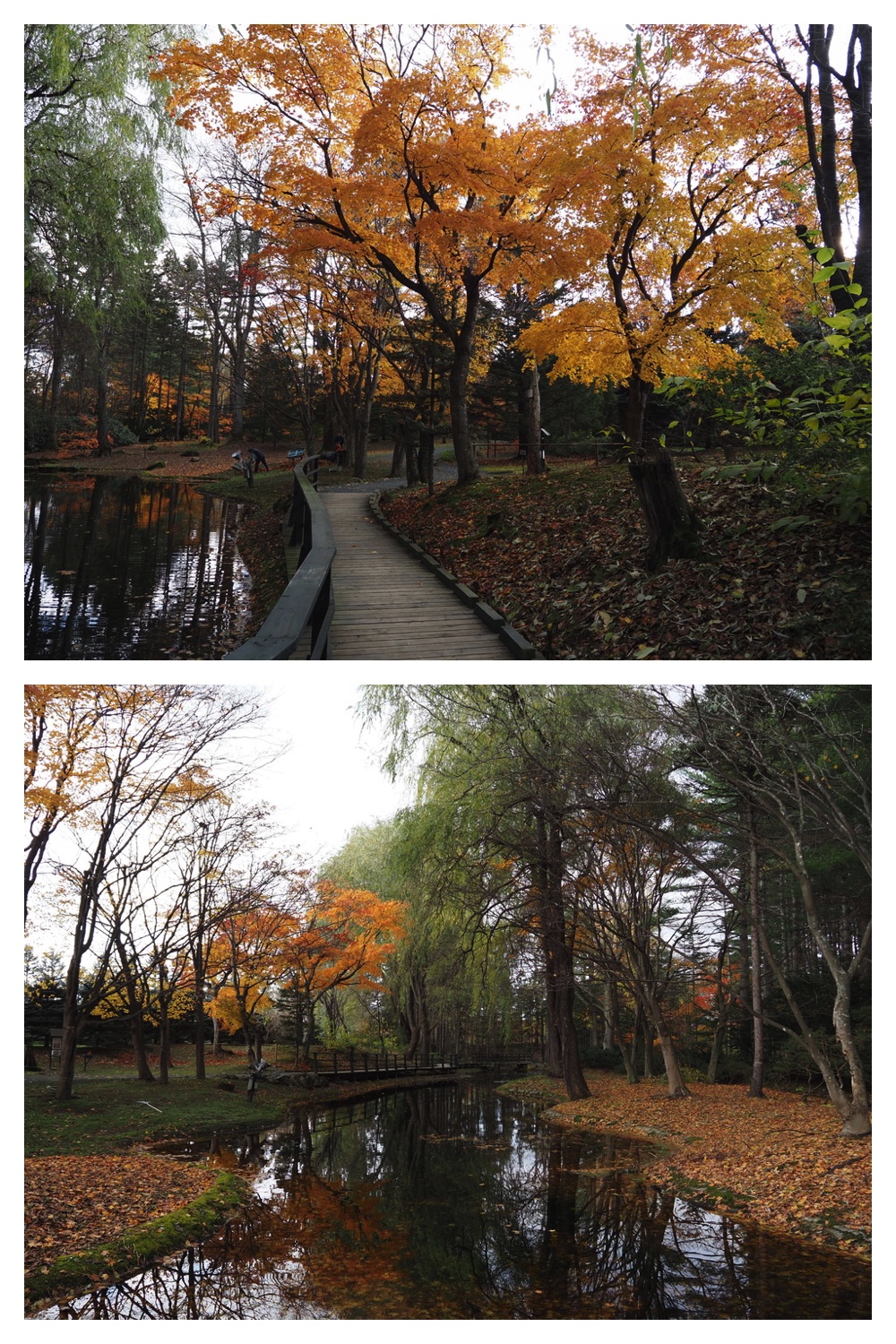 251103_Satsunai-garden_21