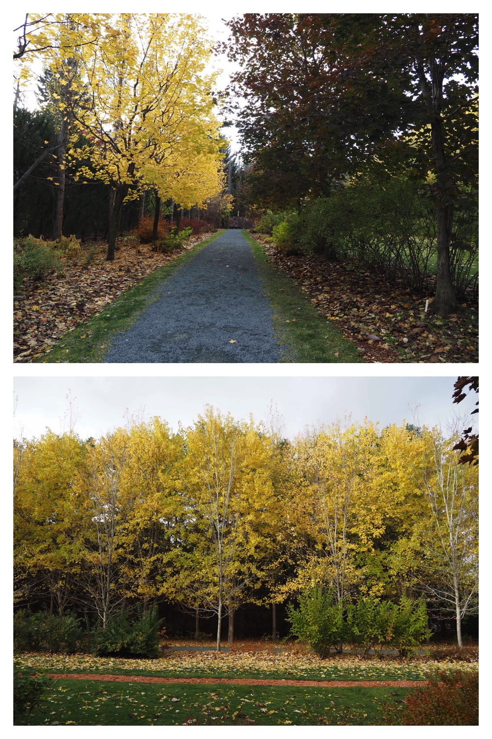 251103_Satsunai-garden_23