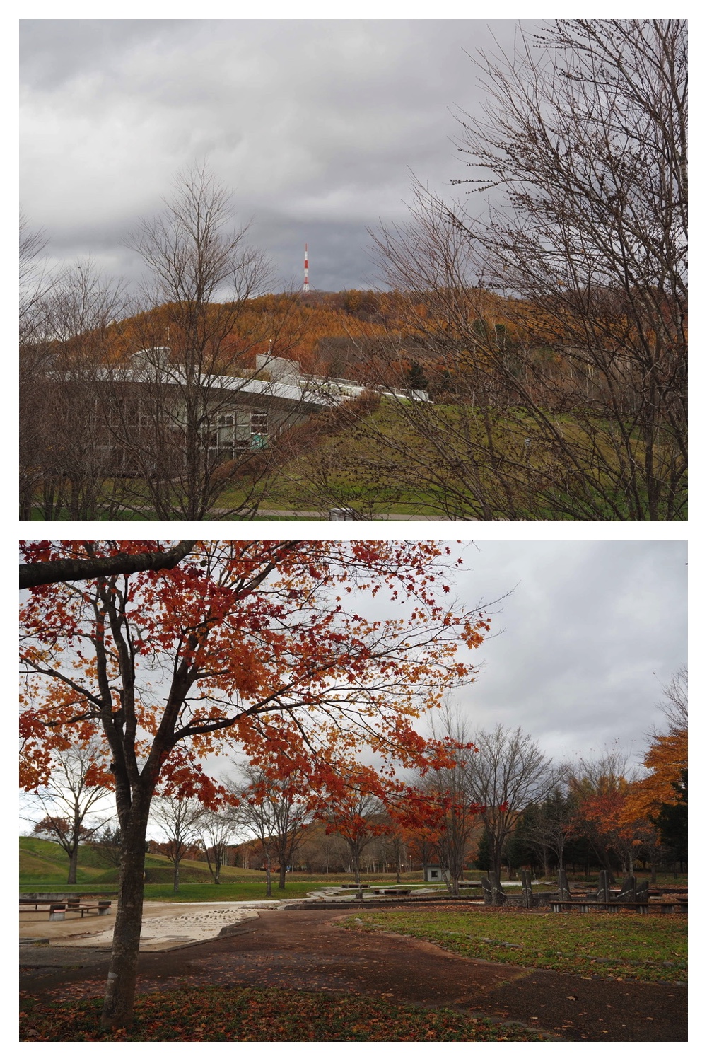 251103_Satsunai-garden_5