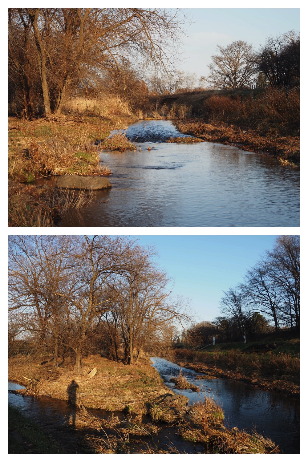 251116_Urikaigawa_12