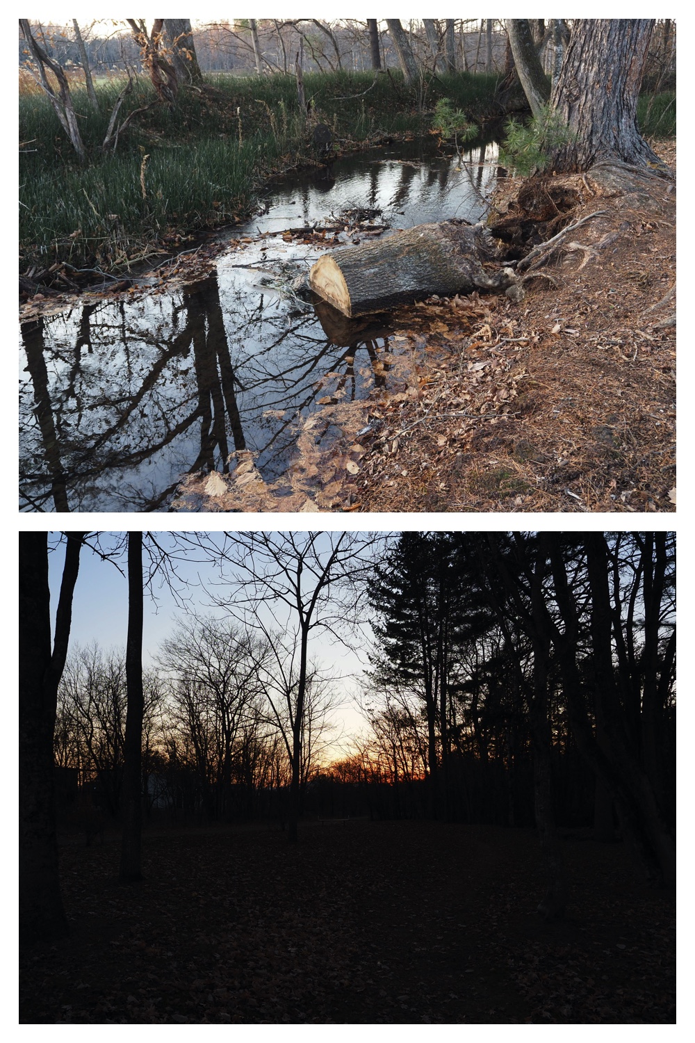 251116_Urikaigawa_16