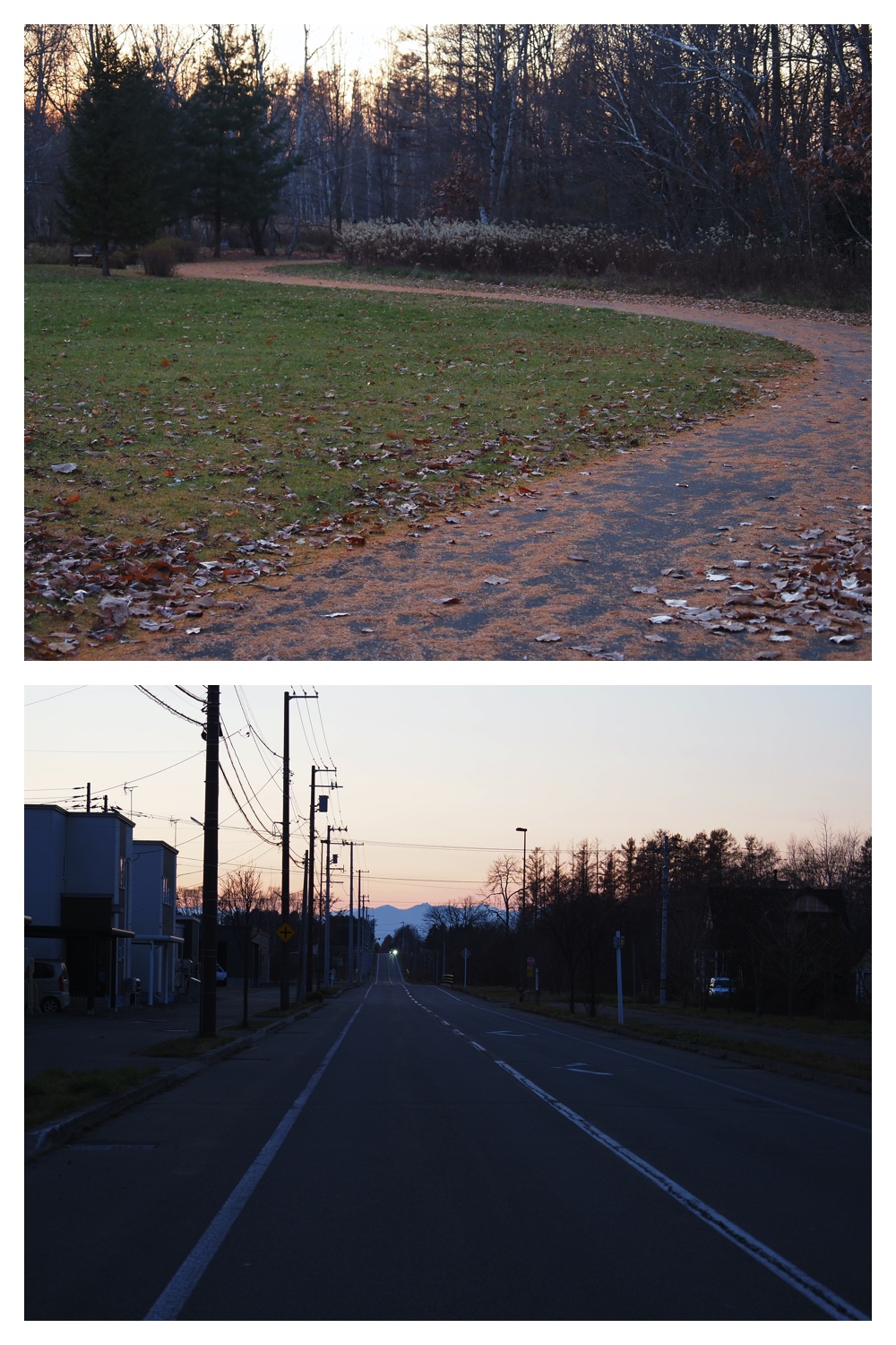 251116_Urikaigawa_17