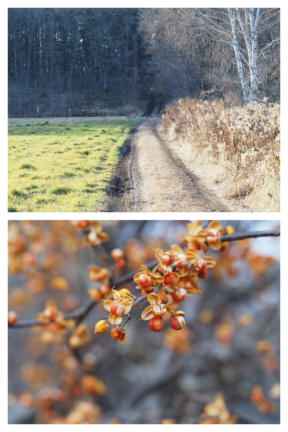 251121_Macro-plants_10