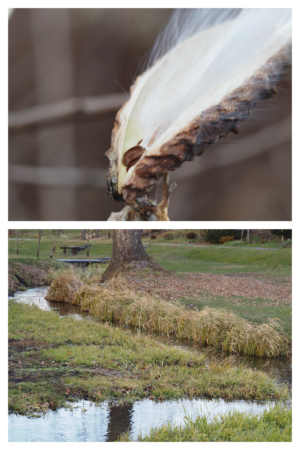 251121_Macro-plants_4