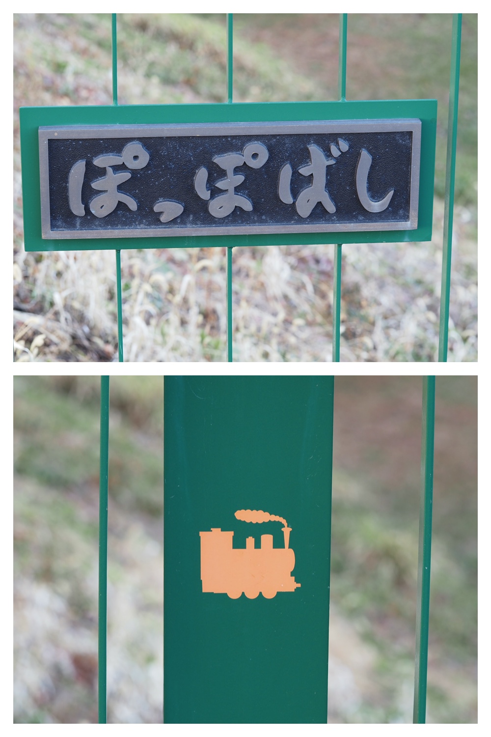 251121_Macro-plants_5