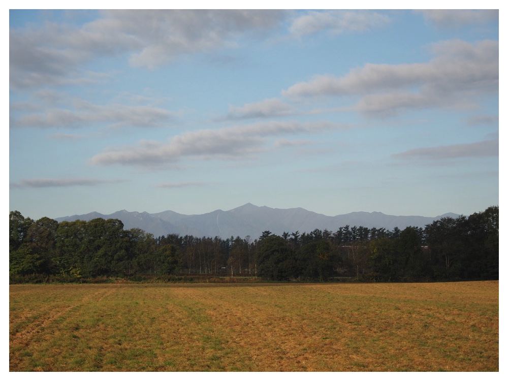 241013_Memurodake_Chikudai