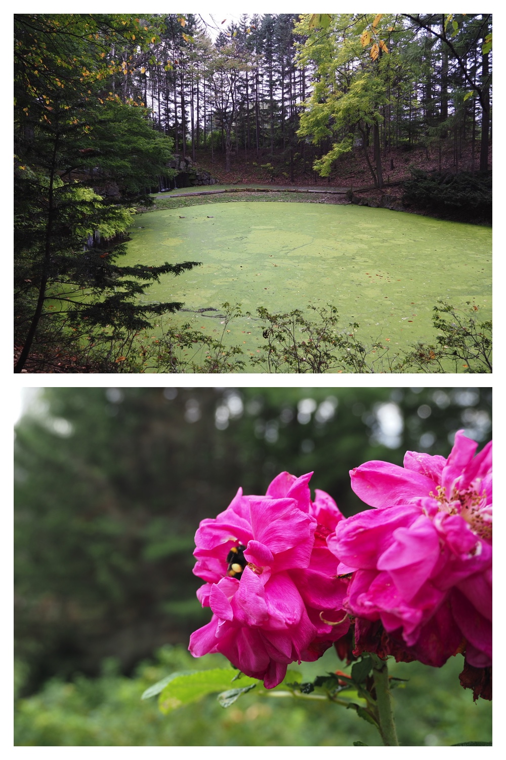 251004_Manabe_11