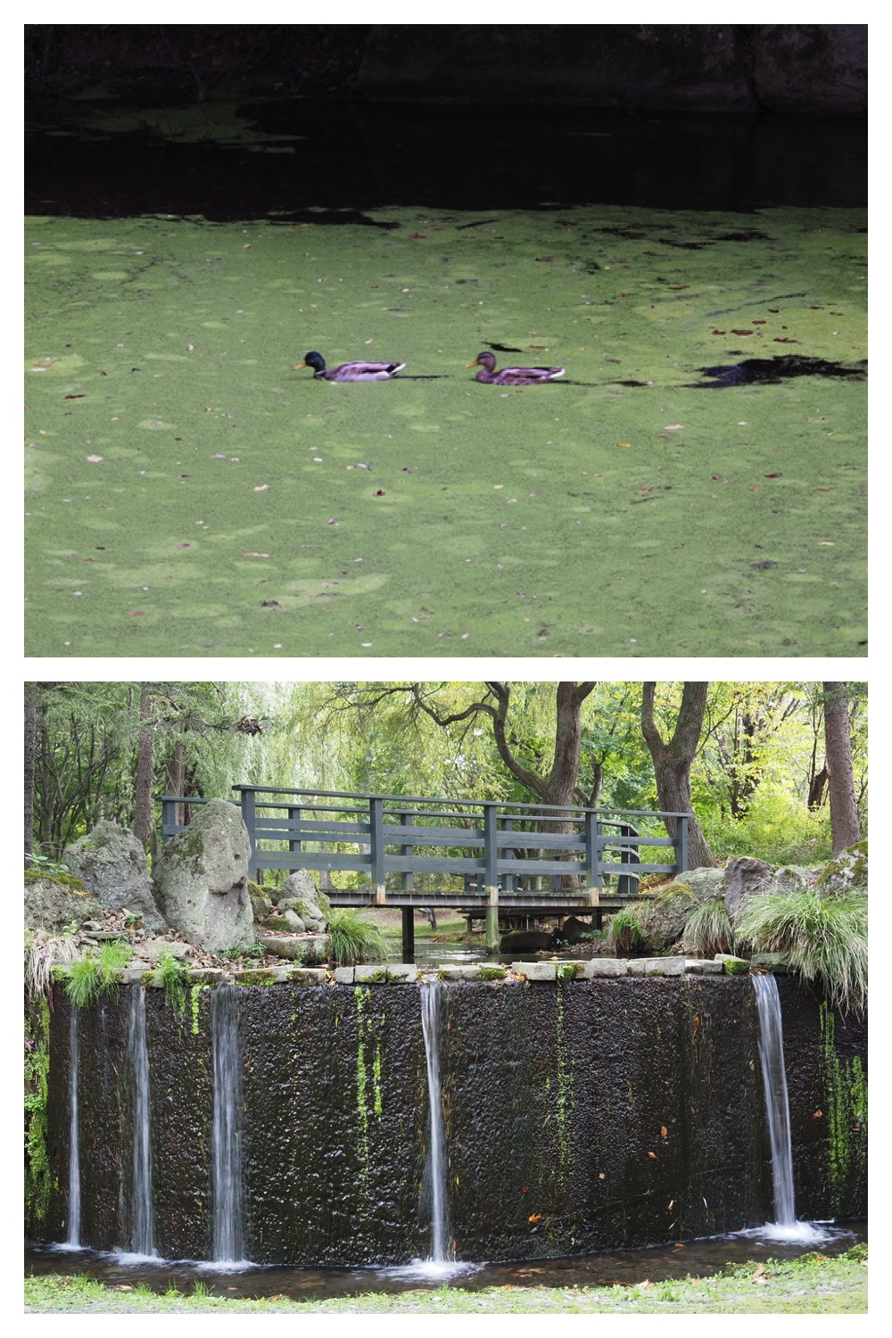 251004_Manabe_12