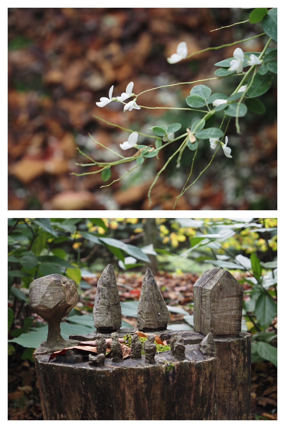251004_Manabe_14