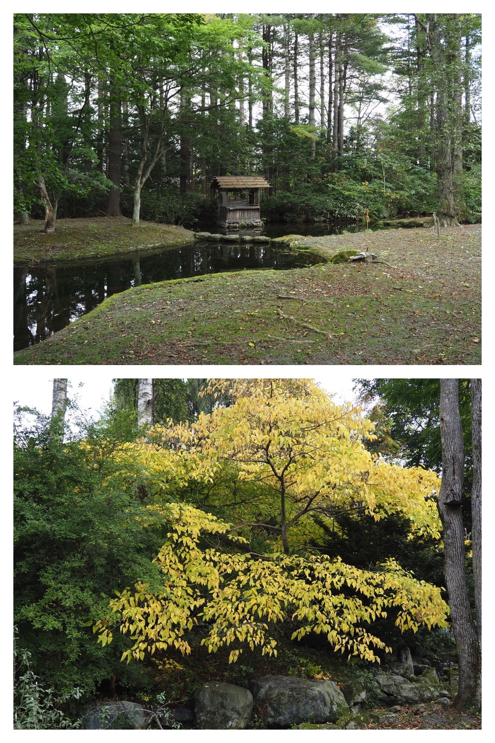 251004_Manabe_15