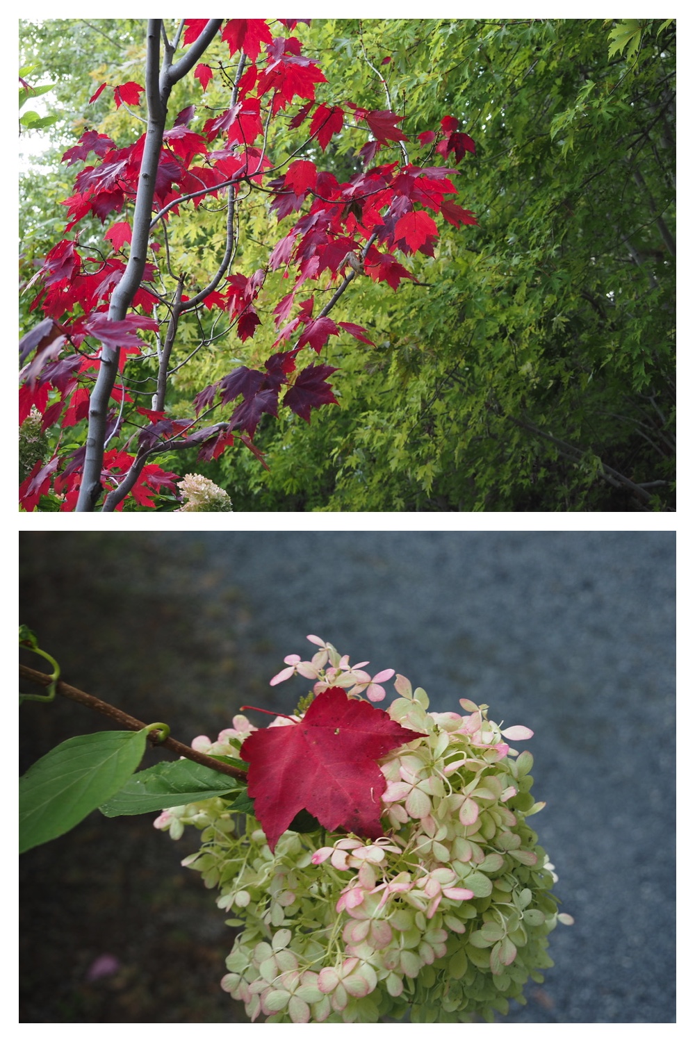 251004_Manabe_19