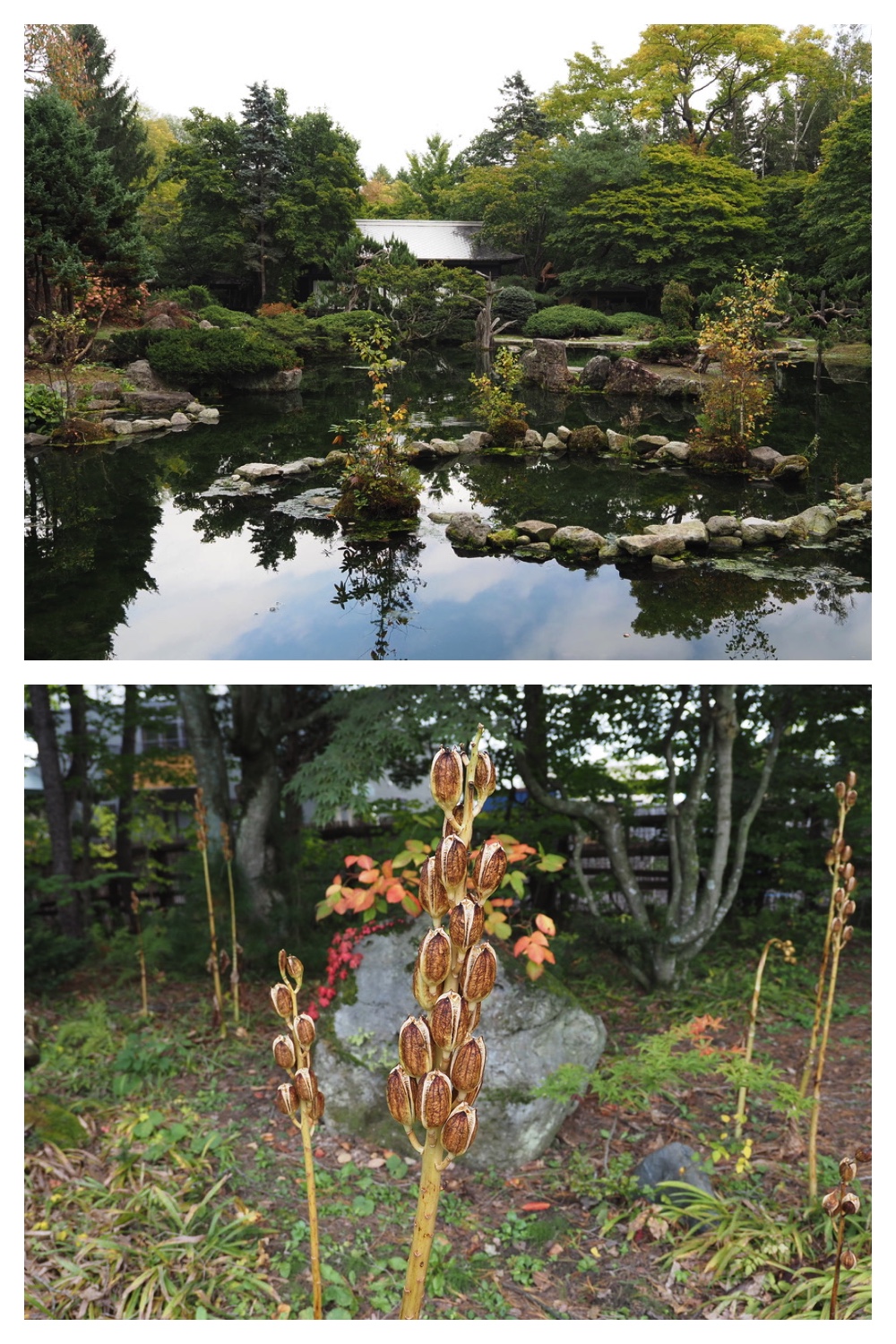 251004_Manabe_6