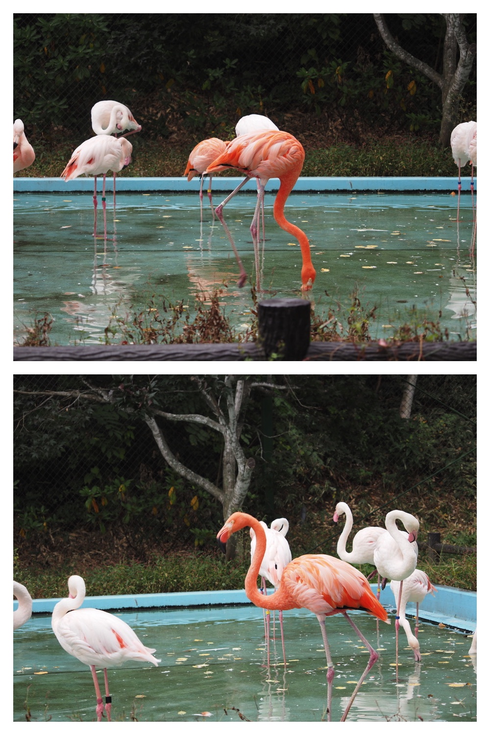 251008_Zoo_1