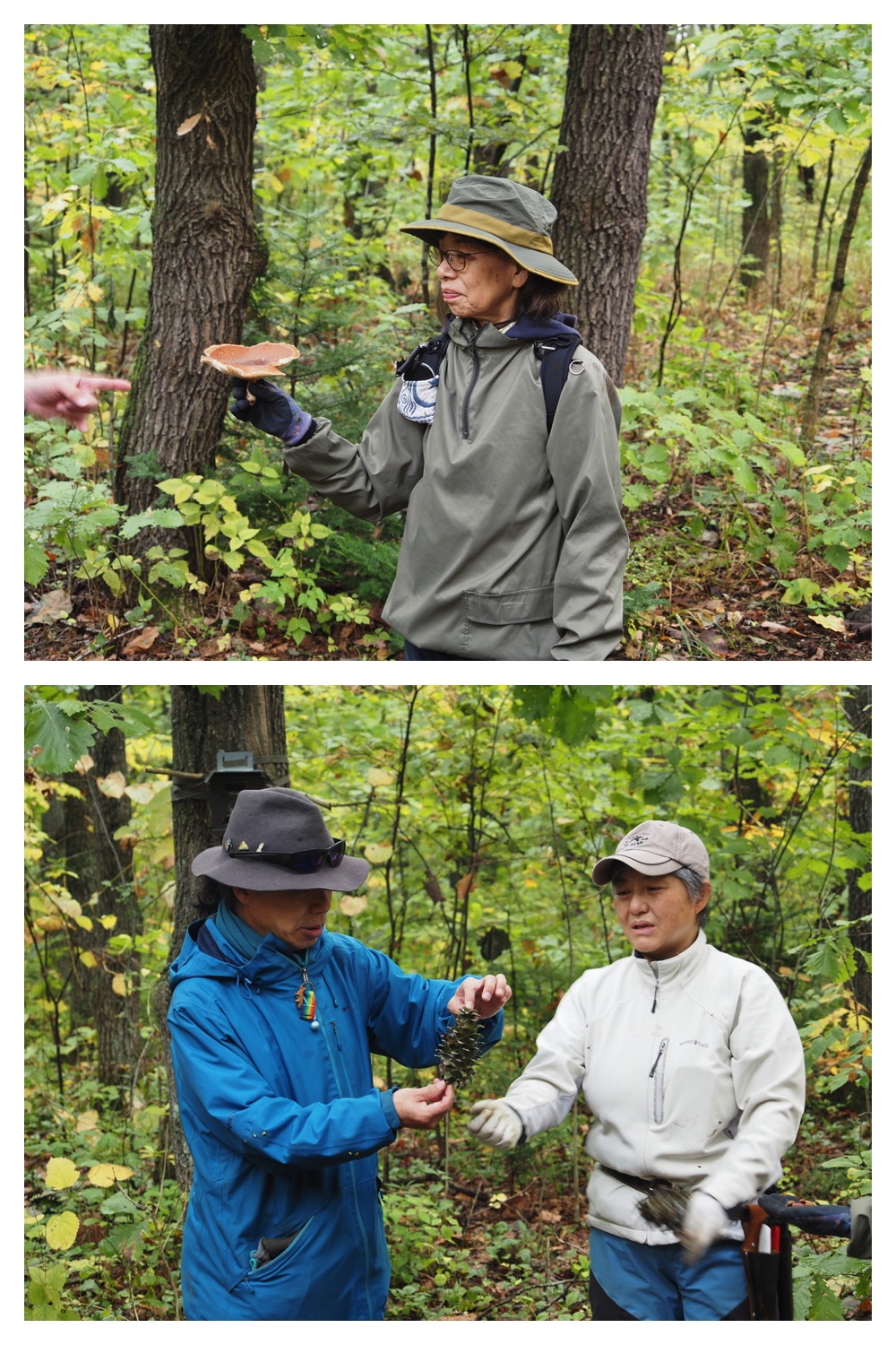 251013_Satoyama_10