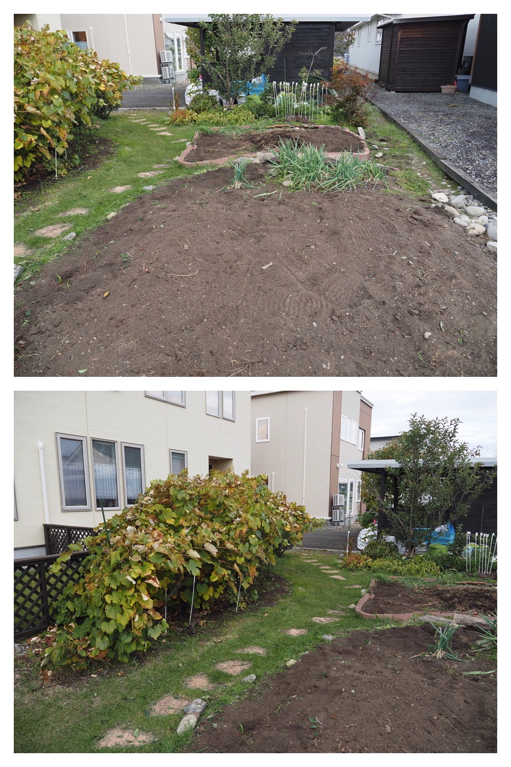 251023_Garden-field_1