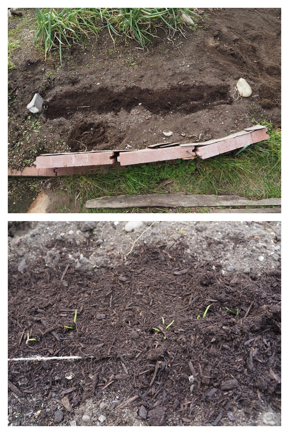 251023_Garden-field_2